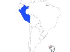 Peru_CAMEX