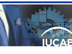 Distribution_Channel