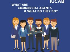 Blog_What are sales reps