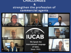 Vision Group_Webmeeting_Nov 2024