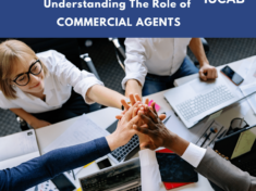 Blog_What are sales reps