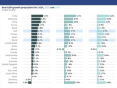 OECD report iterim march 2025