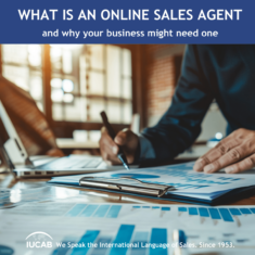 BLOG_what is an online sales agent